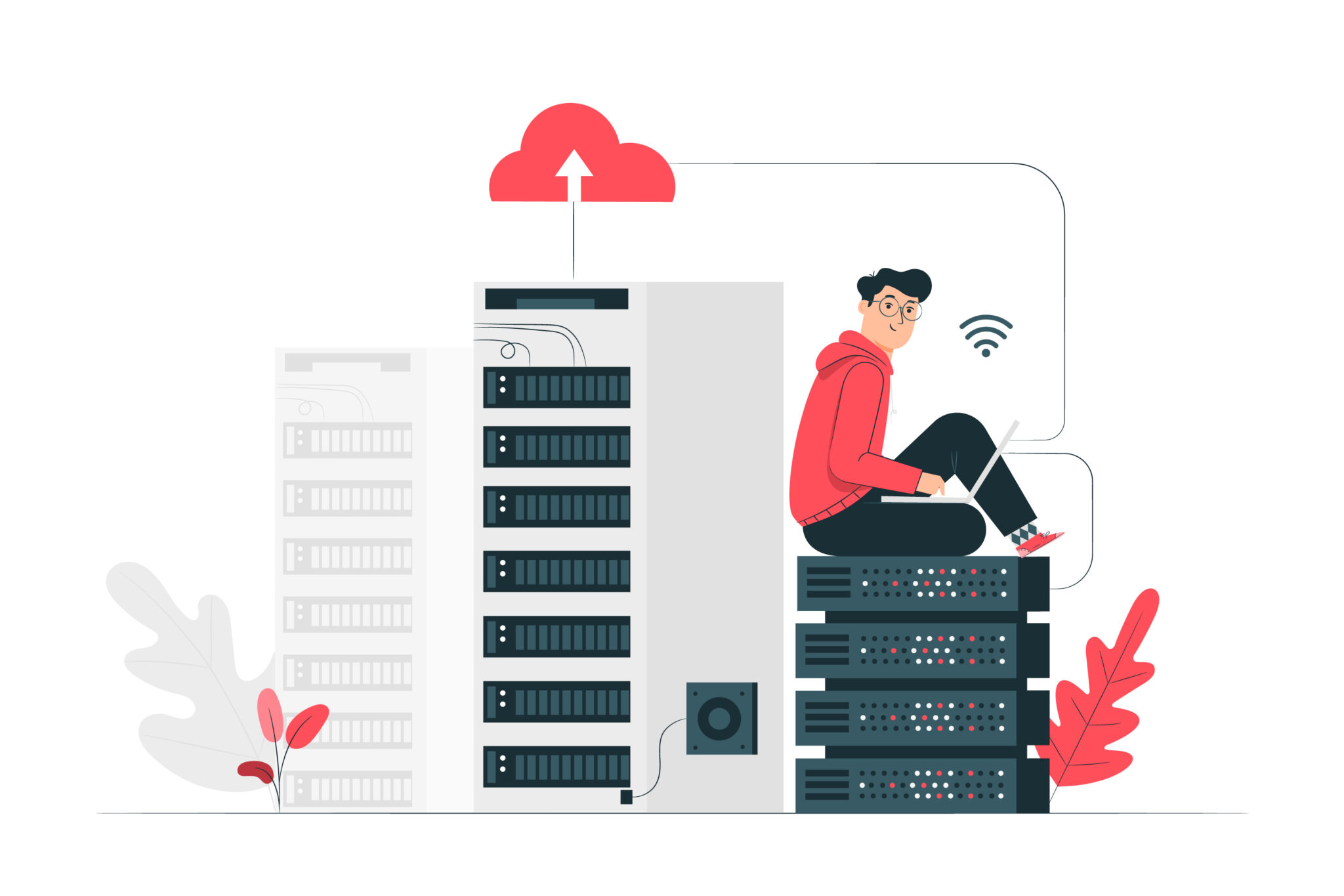 Network Switch